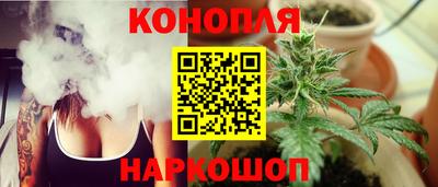 прущие крисы Можга