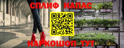 прущие крисы Можга