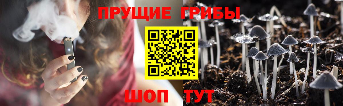 Тольятти  Галлюциногенные грибы мицелий  Вход с VPN 