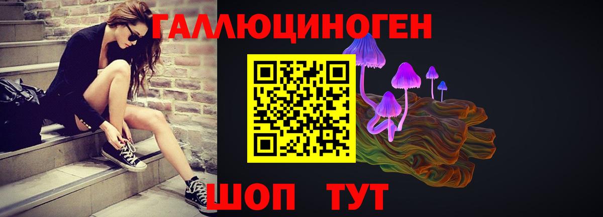 Псилоцибиновые грибы Psilocybine cubensis Тольятти