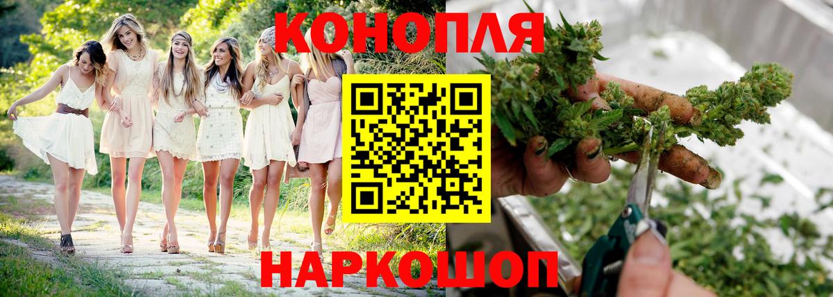Шишки марихуана планчик Тольятти