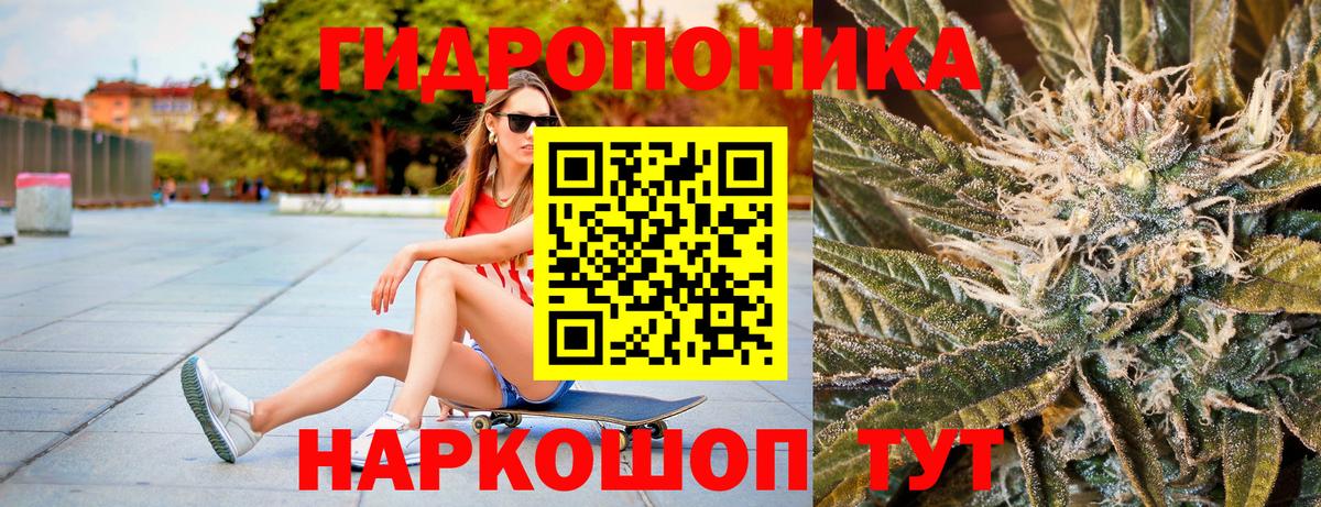 Конопля план  Бошки марихуана LSD WEED  Тольятти  Вход с VPN  Шишки марихуана Ganja 